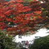 Tokyo_Imperator_Park_4