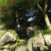 Tokyo_Imperator_Park_8