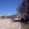 CAM_0884