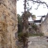 CAM_1066