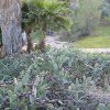 CAM_1096