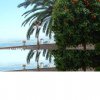 DSCF1361