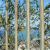 DSCF1426