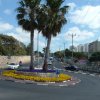 DSCF1429