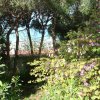 DSCF1443