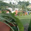 DSCF1453