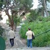 DSCF1454