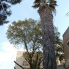 DSCF1455