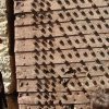 DSCF1464