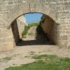 DSCF1473