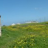 DSCF1474