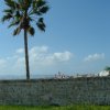 DSCF1479