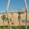DSCF1605