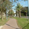 DSCF1606