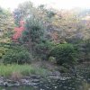 Tokyo_Univ_Area_5