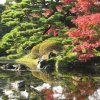 Tokyo_Centre_6