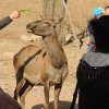 DSCN4365